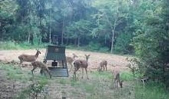 240 Magnolia Ln, Bennington, OK 74723