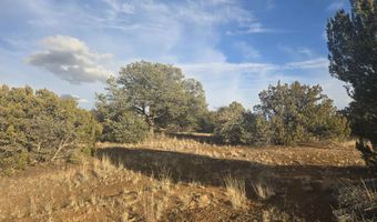 16 Madison, Arenas Valley, NM 88022