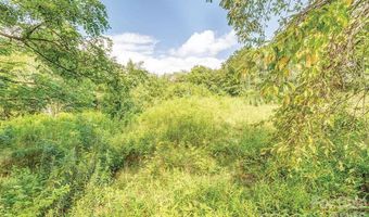 99999 Odonald Rd, Asheville, NC 28806