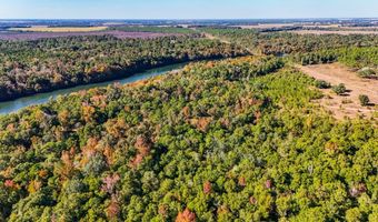 Tract 1 Rivervale Drive, Bainbridge, GA 39817