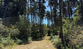 87219 BEACH Ln, Bandon, OR 97411
