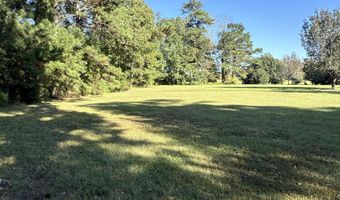 338 Southern Way Lot 61 W/ Boat Slip #3, Arapahoe, NC 28510