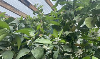 79 AUBURN FOREST Rd, Afton, WY 83110