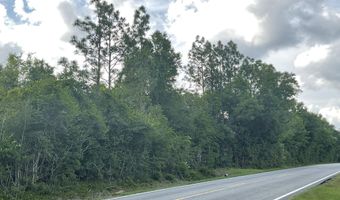 Lakepoint Road, Alford, FL 32420