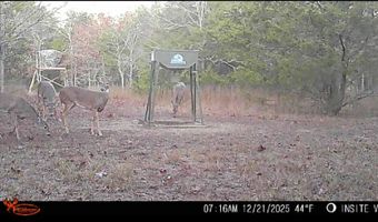 428665 E 1920 Rd, Antlers, OK 74523