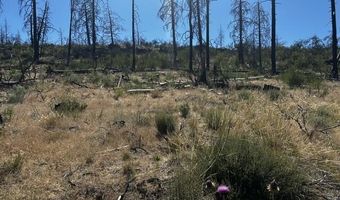 Wren Drive lot 5, Bonanza, OR 97623
