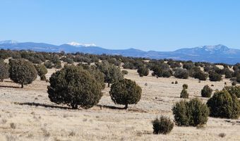 True Grit lot 55A, Ash Fork, AZ 86320