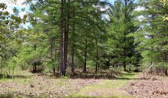 La Grant Road, Alger, MI 48610