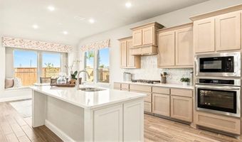 2017 Amber Gate Dr, Anna, TX 75409