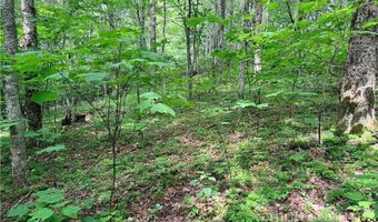 Chestnut Mountain Road, Banner Elk, NC 28604