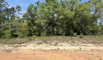 Holly Springs Avenue, Alford, FL 32420