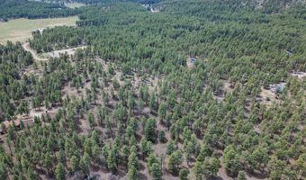 135 Meadow Ln, Bayfield, CO 81122