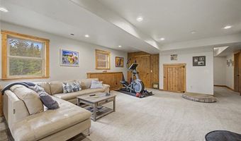 62 Lazy Rex Rd, Alma, CO 80440