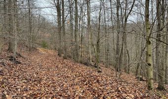 RT 64 Braden Hill Rd, Alma, WV 26320