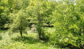 1361 Weaver Hollow Rd, Andes, NY 13731