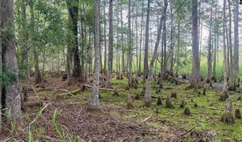 Goldenrod Drive, Barnwell, SC 29812