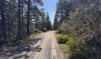 Thunder Bear Road, Bonanza, OR 97623