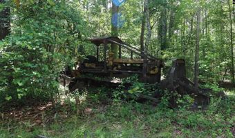 1091 Pine Grove Rd, Leesville, SC 29006
