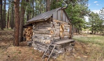24 County Rd 2079, Alpine, AZ 85920