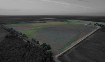 1501 Co Rd 216, Afton, TX 79220