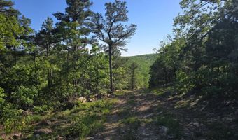 TR 21 & 22 PINE TREE TRAIL, Albion, OK 74571
