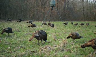 217 281, Banner, MS 38913