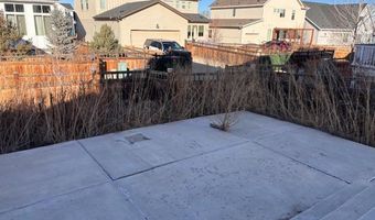 4393 Tanner Peak Trl, Brighton, CO 80601