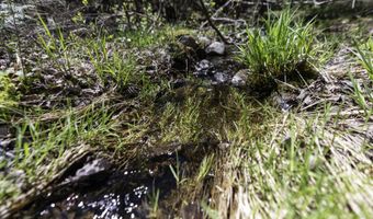 Arrowhead Road lot 38, Bar Harbor, ME 04609