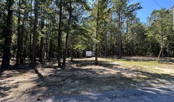 218 Pebble Cove Rd, Abbeville, AL 36310