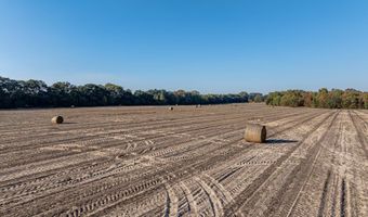 3431 Gladys Ct, Albany, GA 31705