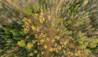 Xxx Highway 11, International Falls, MN 56649