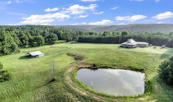 1604 COUNTY ROAD 80, Addison, AL 35540