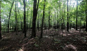 000 AVE 5 SW St, Atkins, AR 72823