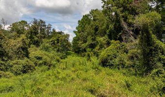 7 02 Acres Monroe E, Ashburn, GA 31714