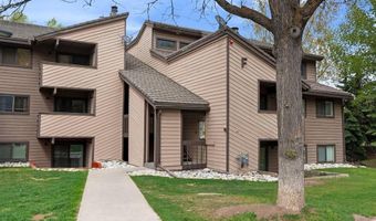 1061 W BEAVER CREEK Blvd F203, Avon, CO 81620