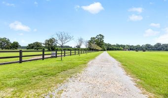 294 Nates Store Rd, Cameron, SC 29030