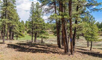 841 Beaver Creek Dr, Bayfield, CO 81122