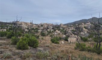 1 Tule Peak Rd, Anza, CA 92536