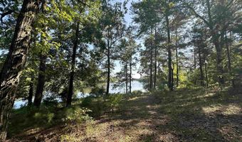 0 Lee Brown Rd 7.26 ACRES, Woodbury, GA 30293