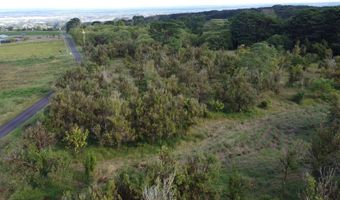 2525 MAIKALANI St, Hilo, HI 96720