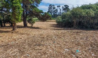 SW Edison Ave, Bandon, OR 97411