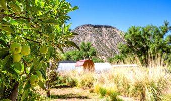 25 Private Dr 1622 PURPLE Adobe Lavender Farm, Abiquiu, NM 87510
