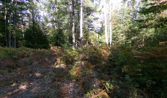 V/L 30AC Lake Winyah Road, Alpena, MI 49707