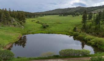 14884 Rist Canyon Rd, Bellvue, CO 80512