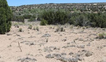 BEAN CREEK Road, Abiquiu, NM 87510