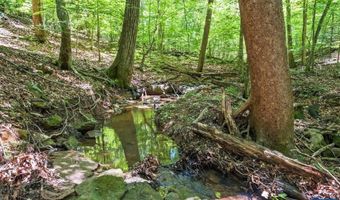 801 FLETCHERS Ln, Arrington, VA 22922