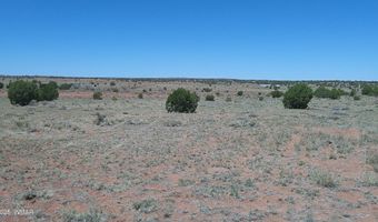 Tbd Rio Ranch, Concho, AZ 85924