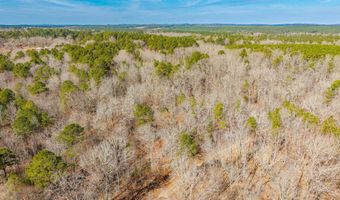 Brushy Cemetery Road, Amity, AR 71921