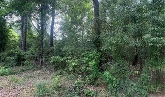 Lot 1 NOLA Lane, Bogalusa, LA 70427