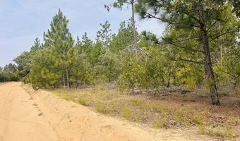 375 Village Ln, Mauk, GA 31058